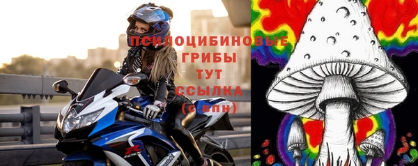 2c-b Богданович